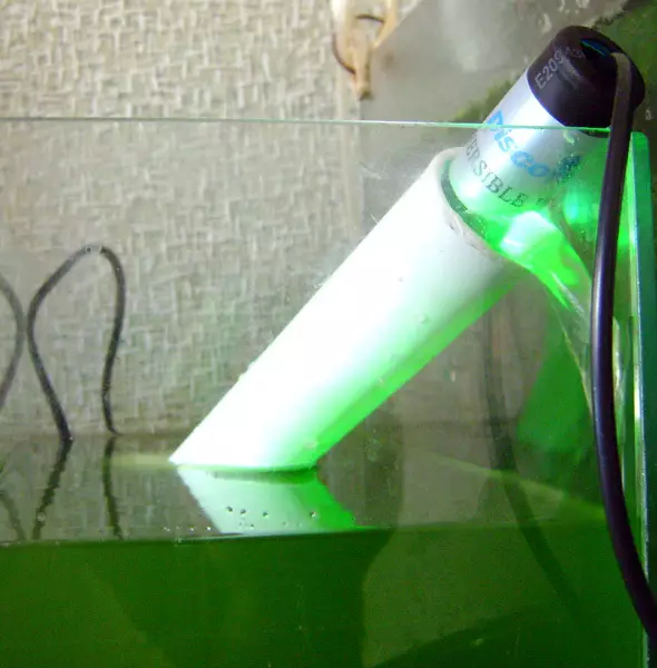 UV Sterilies ar gyfer Aquarium (16 Lluniau): Pam mae angen lamp uwchfioled Aquarium? Manteision a niwed y lampau ar gyfer diheintio dŵr 11481_9
