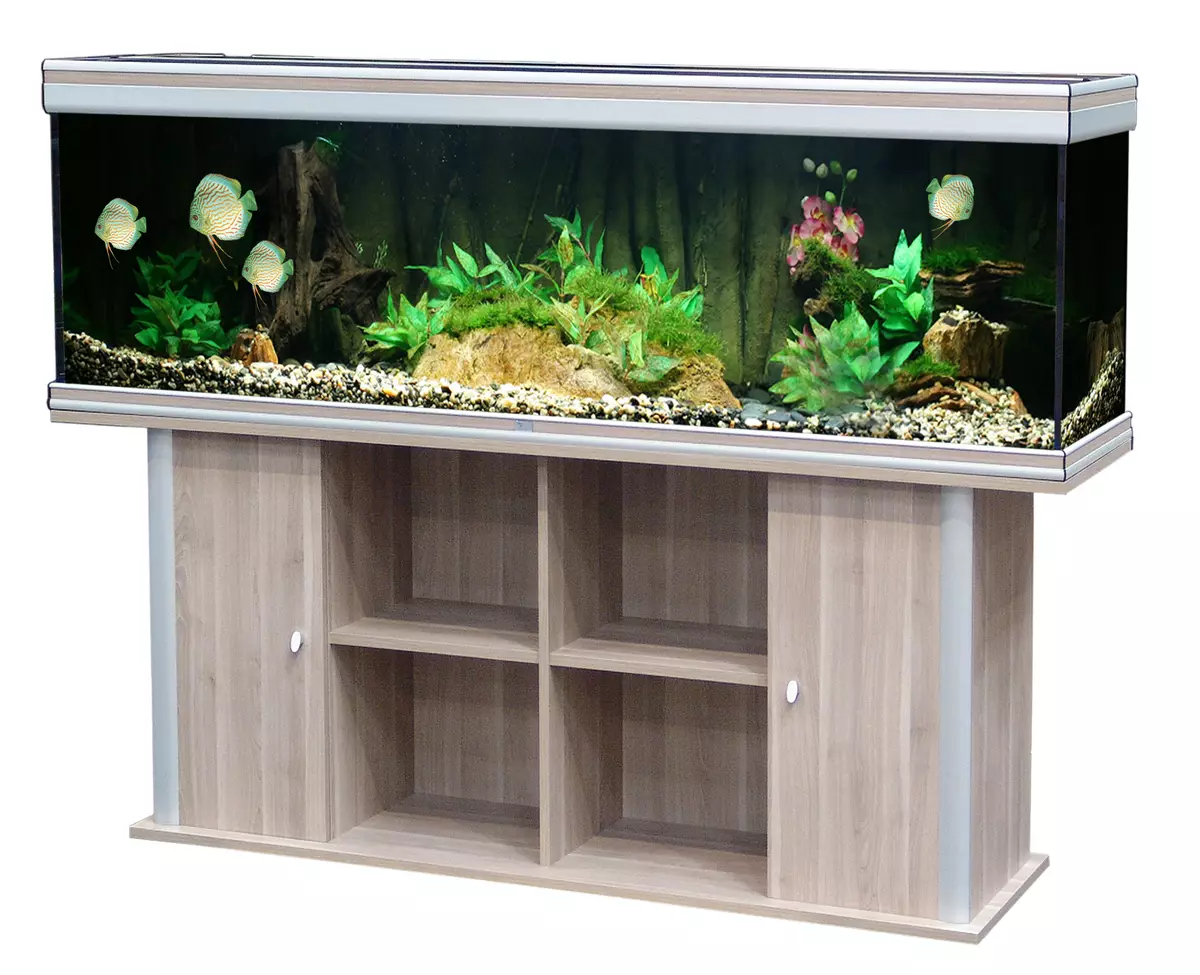 Stands for Aquarium (24 fotos): Quais são as arquibancadas adequadas para aquários por 100 litros e outros volumes? Visão geral de suportes de metal e madeira 11486_12