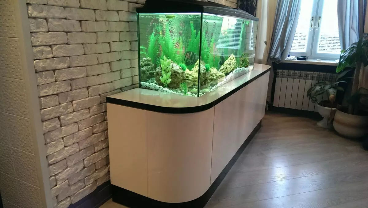 Stands for Aquarium (24 fotos): Quais são as arquibancadas adequadas para aquários por 100 litros e outros volumes? Visão geral de suportes de metal e madeira 11486_5
