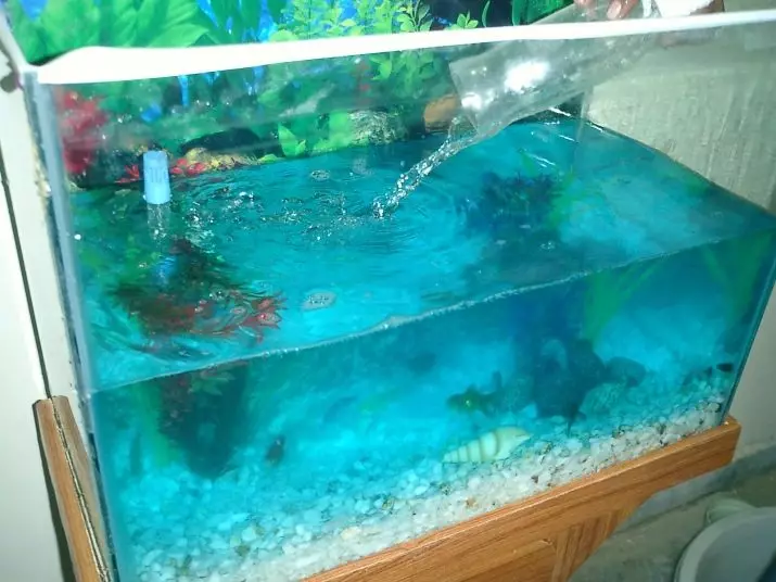 Aire condicionat per l'aigua de l'aquari (19 fotos): Com utilitzar l'aire condicionat per l'aquari? Tipus d'aparells d'aire condicionat per als peixos i la regla d'elecció 11488_2