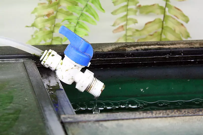 Aire condicionat per l'aigua de l'aquari (19 fotos): Com utilitzar l'aire condicionat per l'aquari? Tipus d'aparells d'aire condicionat per als peixos i la regla d'elecció 11488_4