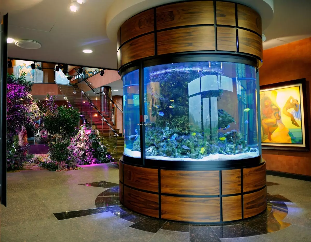 Aquarium panoramic (12 foto): Les ak dezavantaj nan panorama la. Pi bon rektangilè a. Design nan modèl nan 100, 120, 150 ak 200 lit. 11489_10