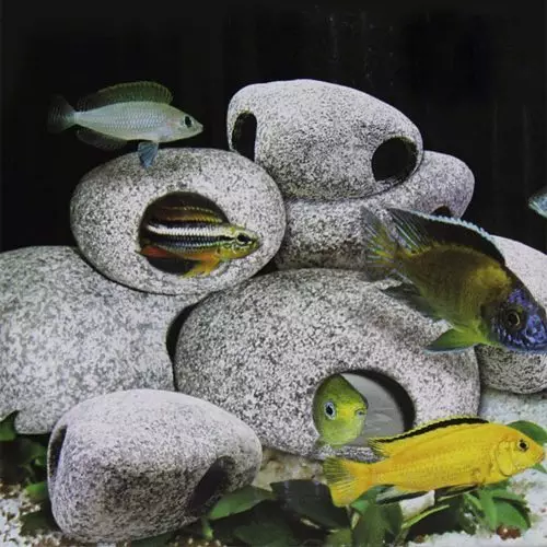 Kamni za akvarij (29 fotografij): peščenjak in drugi dekorativni kamenčki. Kako jih pripraviti z lastnimi rokami in koliko kuhanja? Kaj je mogoče dati v akvarij? 11491_5
