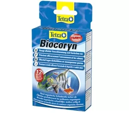 Akvarijní ryby (59 fotek): Chov akvarijní ryby doma, výběr ryb pro akvárium, zajímavá fakta 11502_45