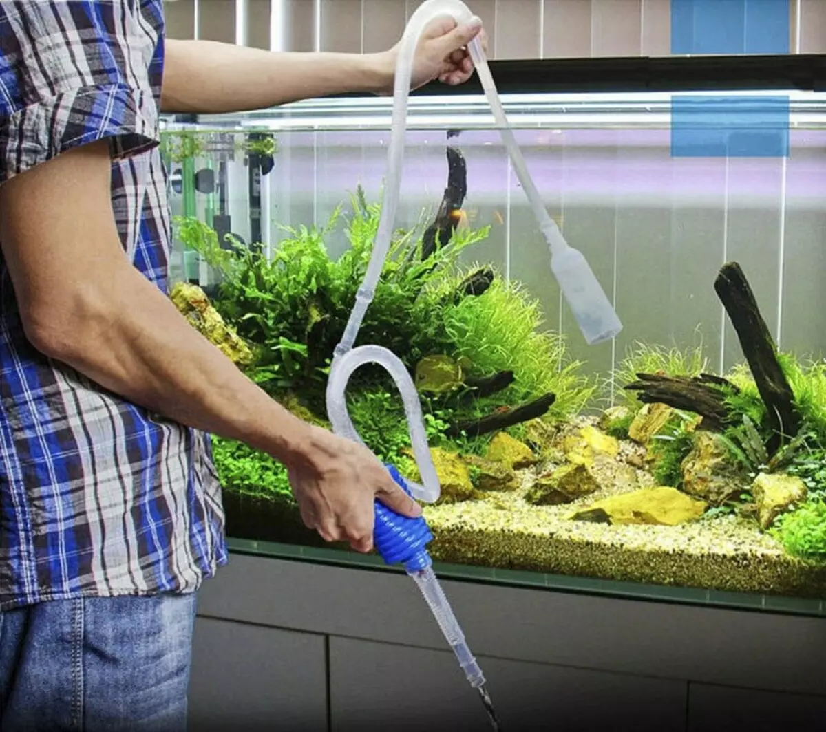 물고기와 수족관 치료 (24 장의 사진) : 대형 수족관을 돌보는 방법은 무엇입니까? 집에서 수족관 물고기의 내용 11507_12