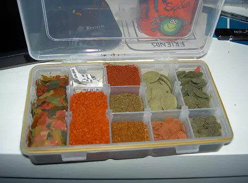水族館の魚の冷凍食品（18枚の写真）：魚のアイスクリームとダフの魚を偽造する方法？水族館で魚を与える方が良い飼料はどれですか？ 11508_4