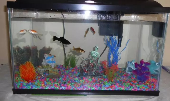 Aquarium Little Fish (22 sary): Ny trondro tsara indrindra ho an'ny Aquarium, ny famerenana ny mazava mavo, mena sy mini-trondro hafa amin'ny anarana 11550_3
