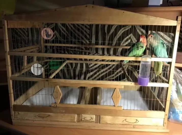 Home en nest voor papegaaien (36 foto's): Hoe maak je een huis voor het fokken van papegaaien met je eigen handen thuis? Maten van de socket. Wat moet in een huis worden behandeld? 11615_14