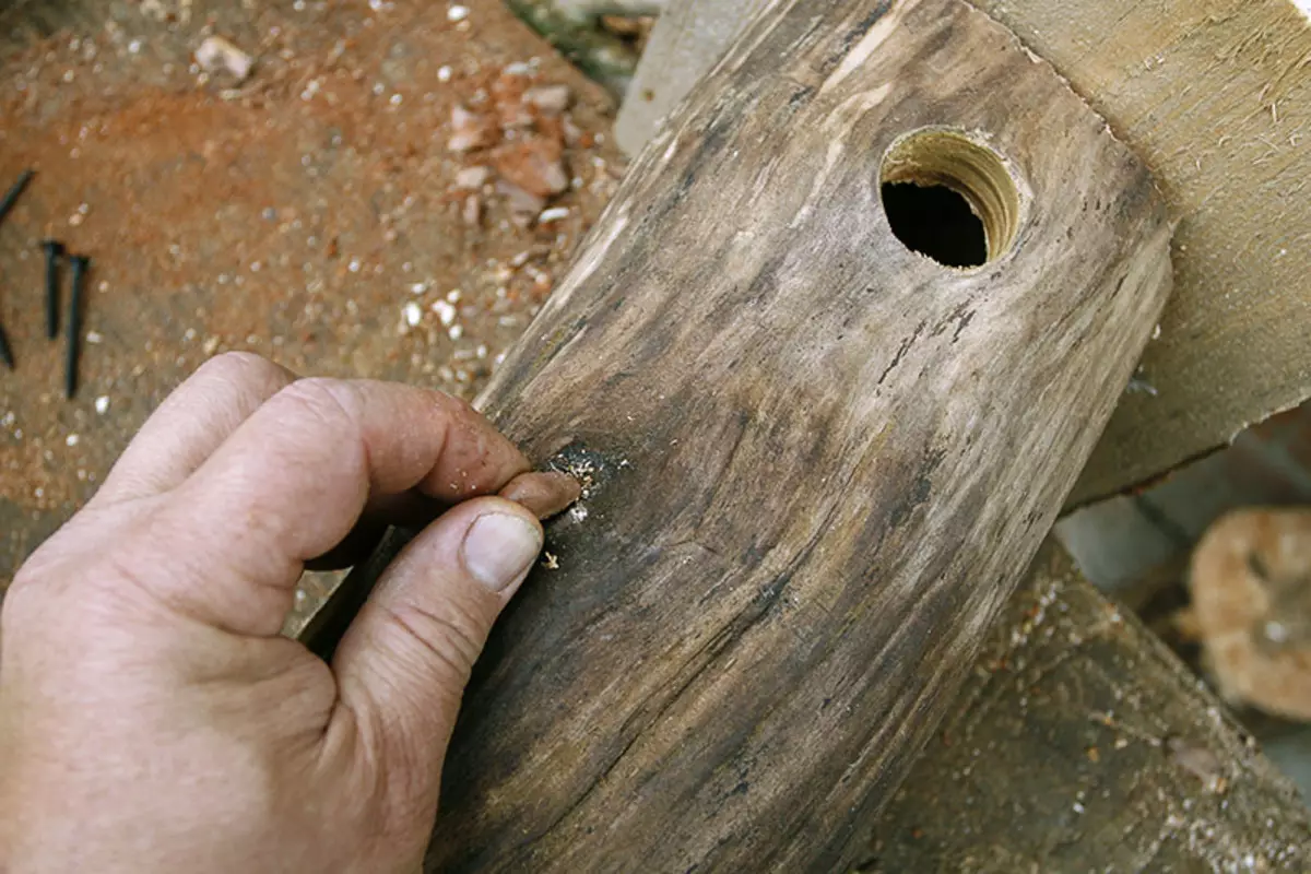 Home en nest voor papegaaien (36 foto's): Hoe maak je een huis voor het fokken van papegaaien met je eigen handen thuis? Maten van de socket. Wat moet in een huis worden behandeld? 11615_20