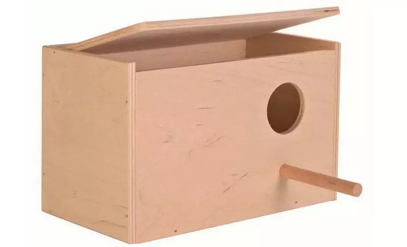 Home en nest voor papegaaien (36 foto's): Hoe maak je een huis voor het fokken van papegaaien met je eigen handen thuis? Maten van de socket. Wat moet in een huis worden behandeld? 11615_26