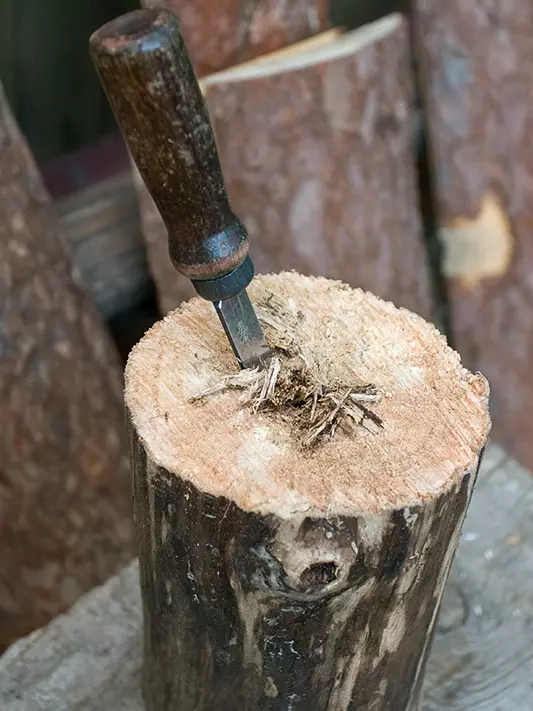 Home en nest voor papegaaien (36 foto's): Hoe maak je een huis voor het fokken van papegaaien met je eigen handen thuis? Maten van de socket. Wat moet in een huis worden behandeld? 11615_33