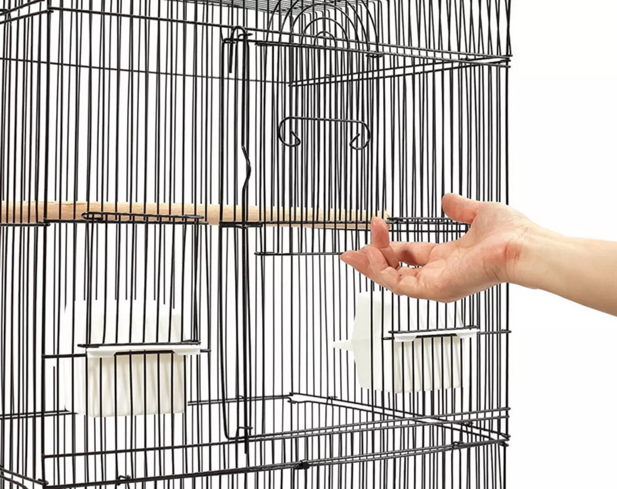 Home en nest voor papegaaien (36 foto's): Hoe maak je een huis voor het fokken van papegaaien met je eigen handen thuis? Maten van de socket. Wat moet in een huis worden behandeld? 11615_9