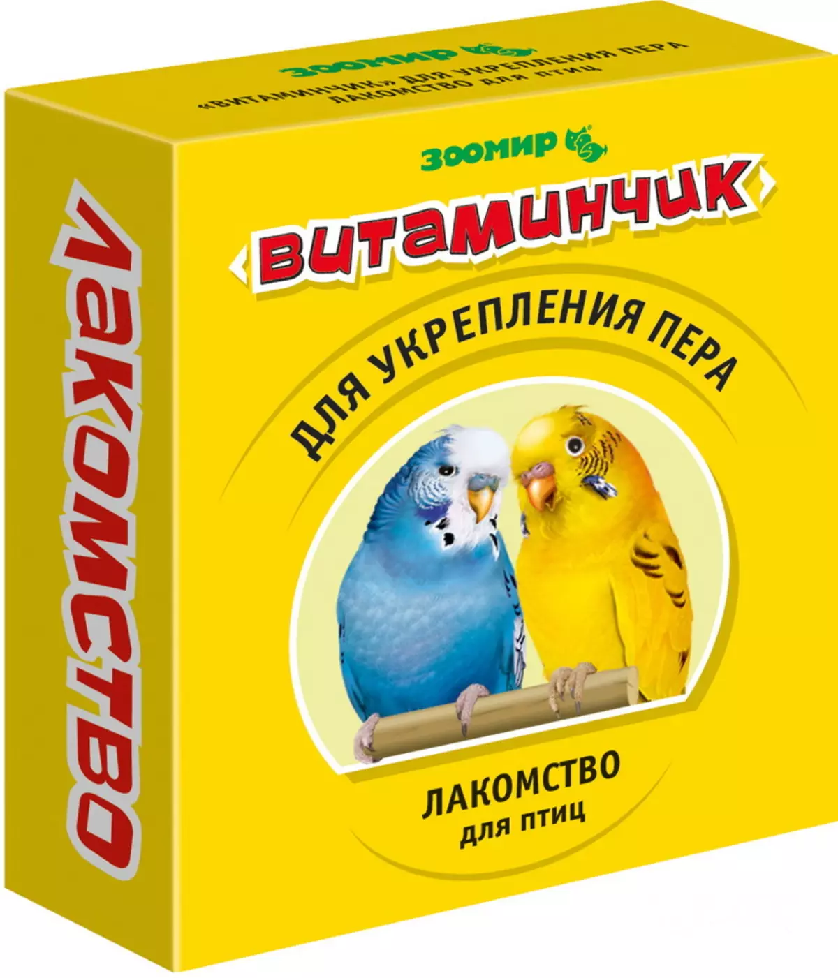 Parrot Rosella (44 ảnh): Tính năng nội dung của Roosela. Parrot có nói về không? Đặc điểm của Rosella Red, Motley và các loài khác. Đánh giá sở hữu 11631_41