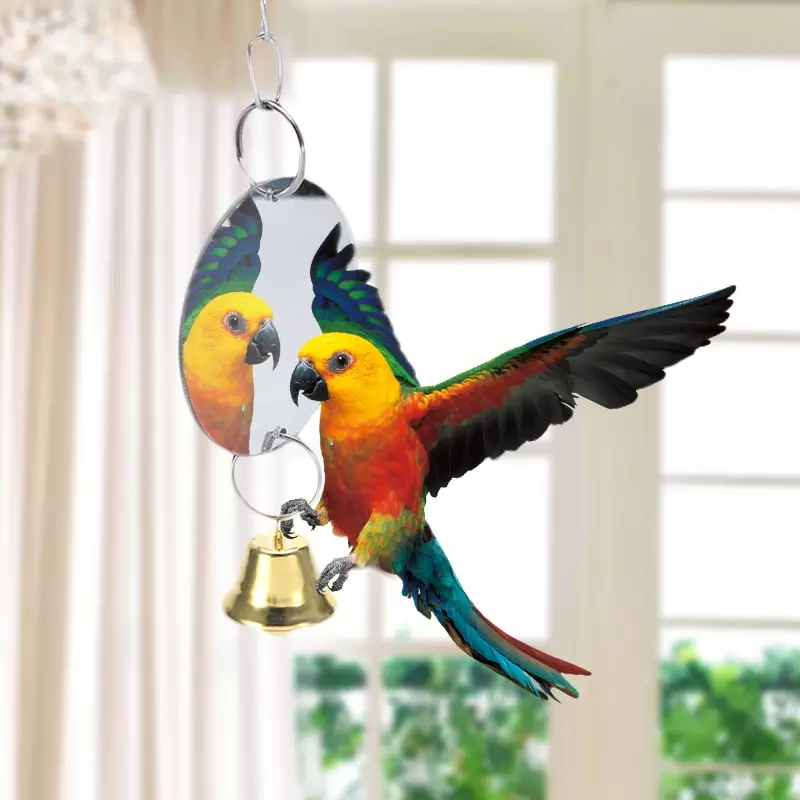 Hračky pro papoušky (22 fotografií): Jaké hračky jako velké a malé papoušky? Výběr hraček píce v kleci 11635_10