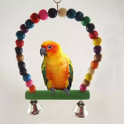 Leksaker för papegojor (22 bilder): Vilka leksaker gillar stora och små papegojor? Urval av foderleksaker i en bur 11635_15