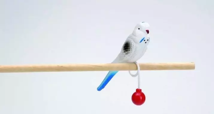 Leksaker för papegojor (22 bilder): Vilka leksaker gillar stora och små papegojor? Urval av foderleksaker i en bur 11635_6