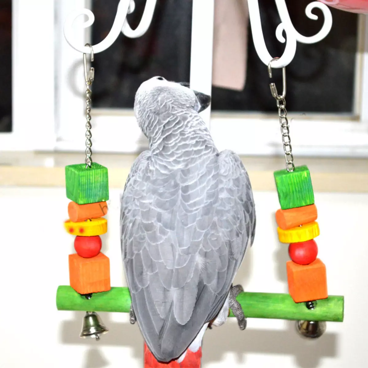 Dolanan kanggo manuk parrot (22 Foto): Apa sing kaya dolanan kaya parrot gedhe lan cilik? Pilihan dolanan forage ing kandhang 11635_8