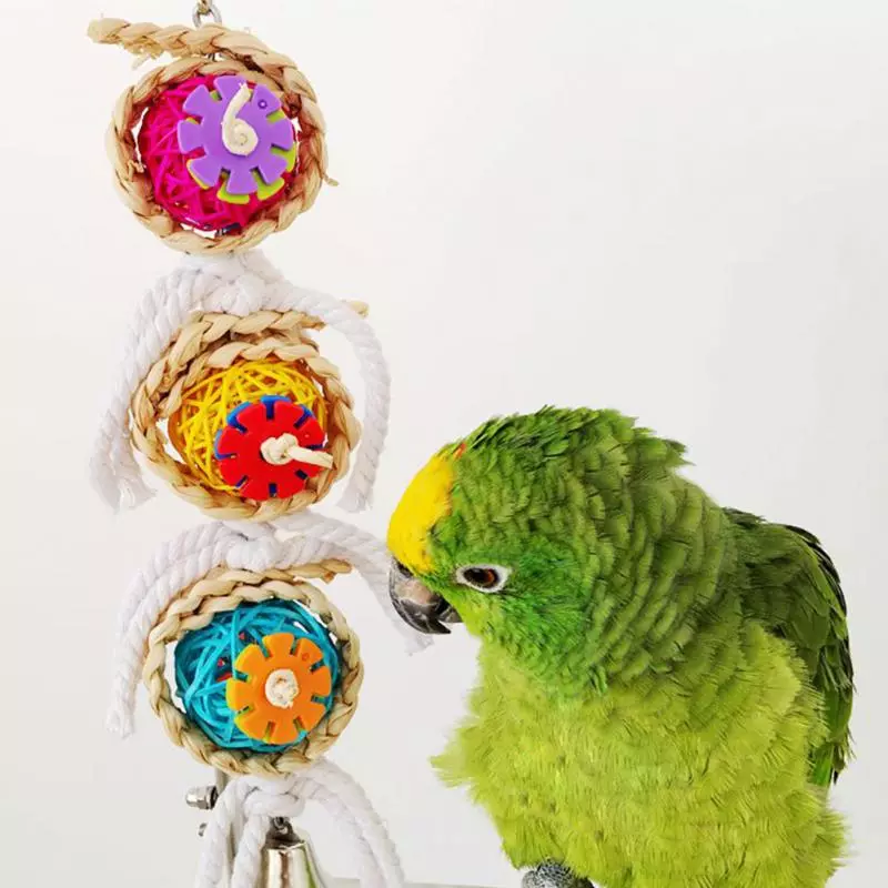 Boartersguod foar papegaaien (22 foto's): Wat boartersguod lykas grutte en lytse papegaaien? Seleksje fan Forage Toys yn in koai 11635_9
