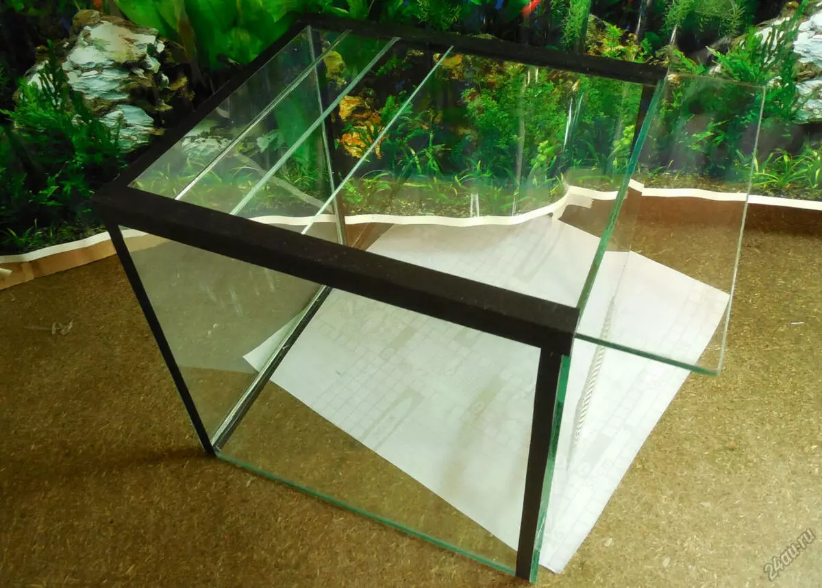 Terrarium for snails (29 photos): how to choose a house? How to equip a plastic container and a glass aquarium with their own hands? 11670_11