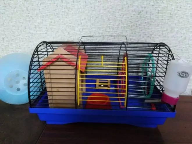 Gurpila hamster bat zure eskuekin: nola eta zer egin daiteke etxean etxeko etxeko gurpil isilak hamsterrentzat? 11693_6
