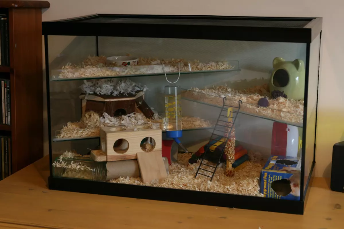 Kandang untuk hamster (52 foto): Model dua lantai besar dan tiga lantai dengan terowongan dan labirin, sel plastik kecil untuk mini duna hamster multi. Bagaimana cara melengkapinya? 11695_10