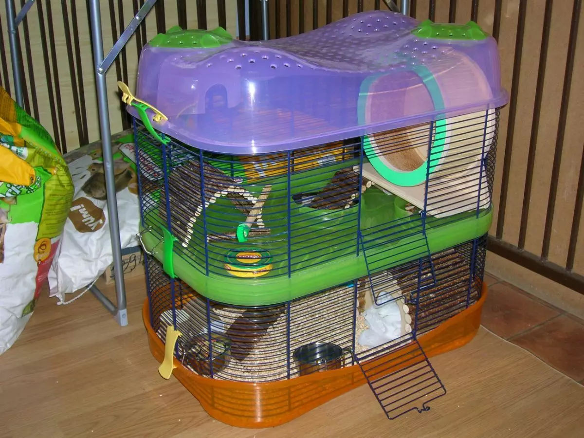 Kandang untuk hamster (52 foto): Model dua lantai besar dan tiga lantai dengan terowongan dan labirin, sel plastik kecil untuk mini duna hamster multi. Bagaimana cara melengkapinya? 11695_29