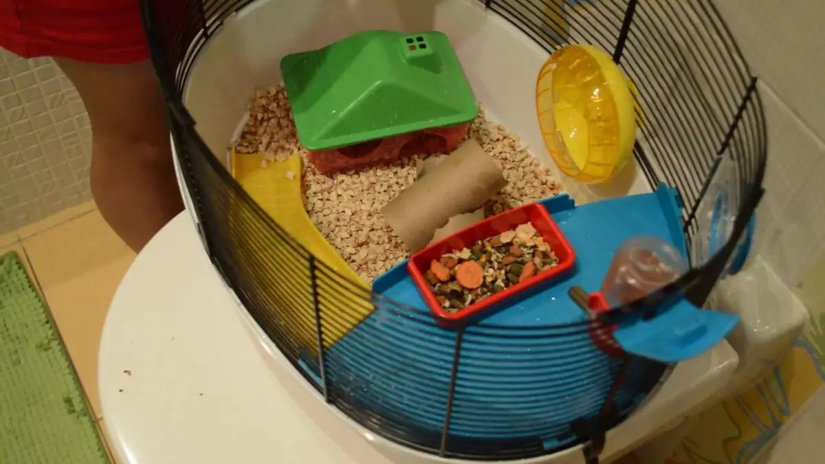 Kandang untuk hamster (52 foto): Model dua lantai besar dan tiga lantai dengan terowongan dan labirin, sel plastik kecil untuk mini duna hamster multi. Bagaimana cara melengkapinya? 11695_39