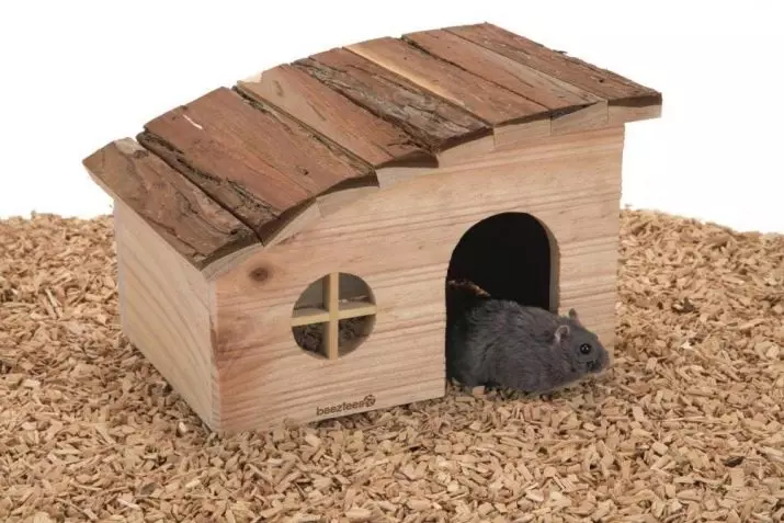 Lồng cho hamster (52 ảnh): Các mô hình lớn hai tầng và ba tầng có đường hầm và mê cung, các tế bào nhựa nhỏ cho nhiều chuột đồng Mini Duna. Làm thế nào để trang bị nó? 11695_43