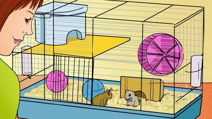Hamster kecil (42 gambar): baka hamster kerdil. Bagaimana mereka melihat? Apa hamster yang paling kecil di dunia? 11697_30
