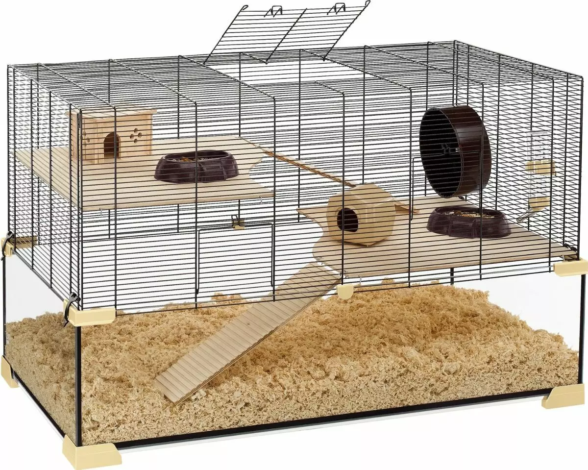 Hamsters (72 ဓာတ်ပုံများ) - Hamsters ပိုမိုများပြားသောအိမ်များကိုသင်ပိုမိုနေထိုင်သည်။ သူတို့ဘယ်လိုကြည့်ကြတာလဲ သယ်ဆောင်ခြင်းနှင့်အခြားဆက်စပ်ပစ္စည်းများ၏ရွေးချယ်ရေး။ Hamsters နှင့်မျိုးစိတ်များဖော်ပြချက်နှင့်ပတ်သက်သောစိတ်ဝင်စားဖွယ်အချက်အလက်များ 11705_13