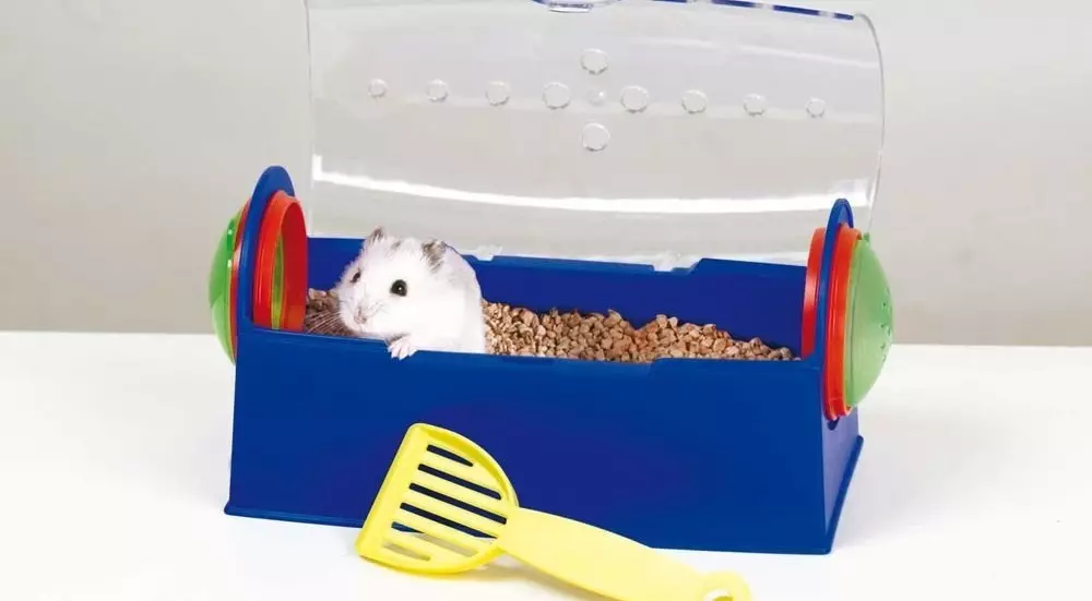 Hamsters (72 ata): E fia fale e te nofo atili ai hamsters? Faafefea latou vaai? Filifiliga o le amo ma isi mea faigaluega. Mea Moni Moni e uiga i Hamsters ma Prices Faamatalaga 11705_41