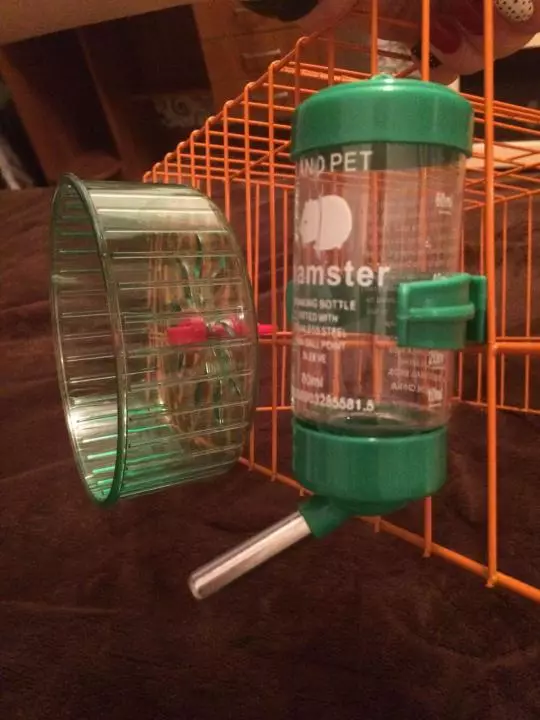 Superiorcycle para um hamster (23 fotos): Como escolher e como fazer uma bebida com suas próprias mãos em casa? Como instalá-lo em uma gaiola? 11710_5