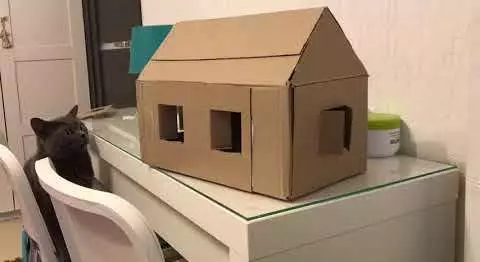 锤子的房子（45张照片）：如何从纸板和塑料瓶中制作房子？木材，椰子和纸质自制房屋的特点 11723_39