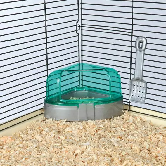 How to care for a hamster? How to properly keep a hamster at home? Care instructions for small hamsters at home 11736_5
