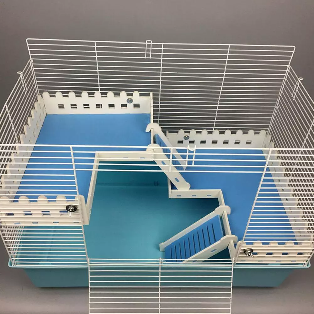 Como cuidar de um hamster? Como manter adequadamente um hamster em casa? Instruções de cuidado para pequenos hamsters em casa 11736_8
