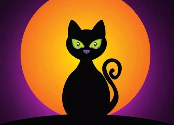 Por que brilla os gatos na luz escura? Razóns principais. Por que hai un vermello, verde e outro ollo de gatos pola noite? 11761_11