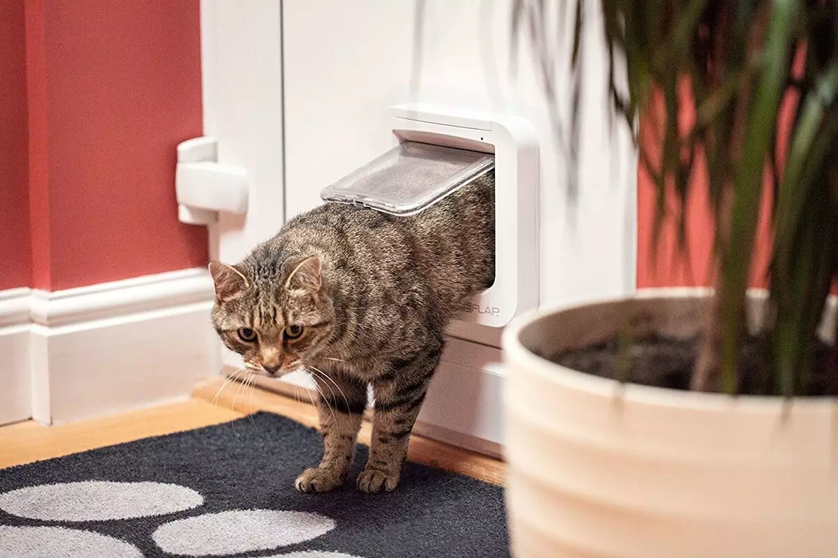 ประตูไปที่ห้องน้ำสำหรับแมว: ประตูกับห้องน้ำที่มีรูและบัตรผ่านสำหรับแมว 11785_10