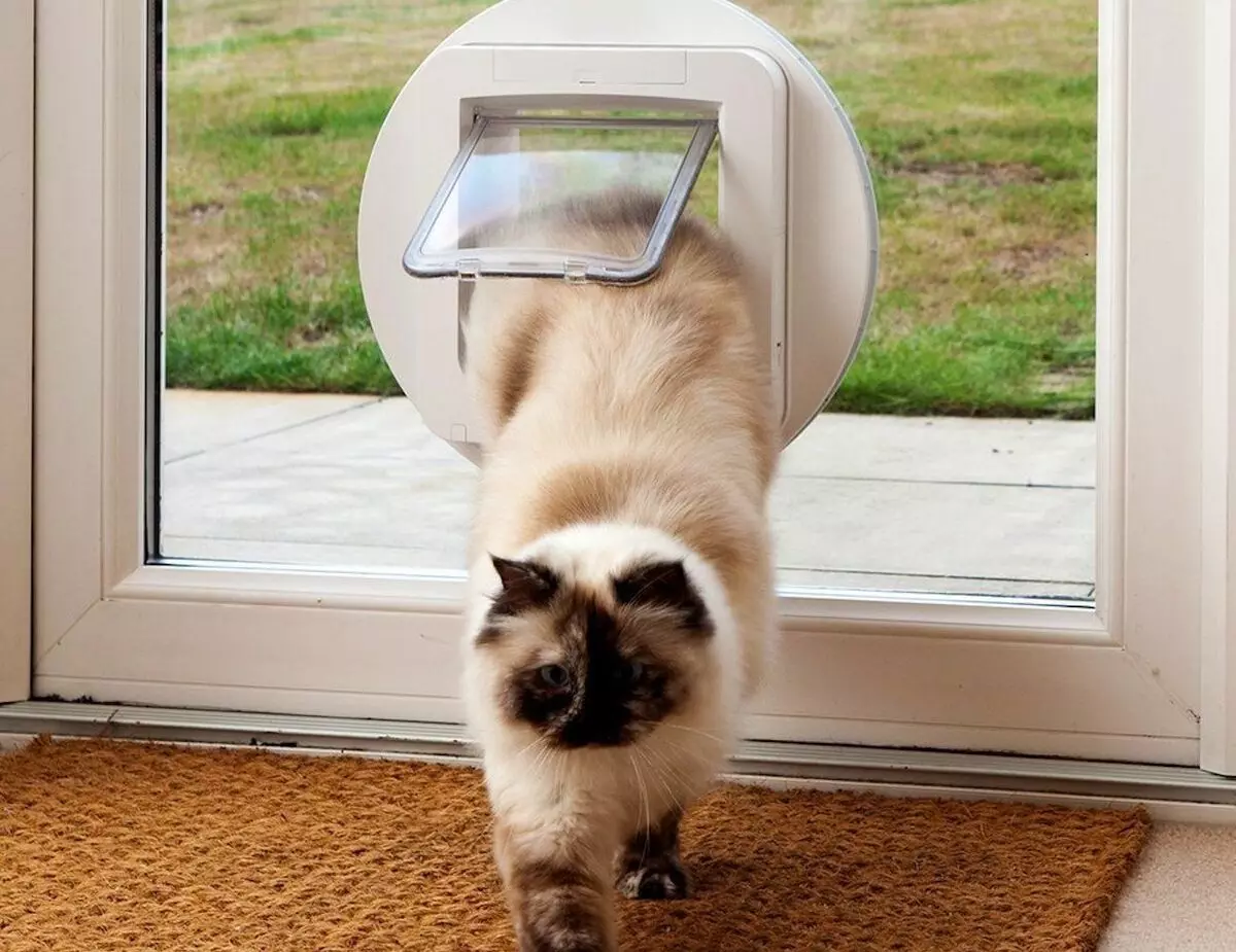 ประตูไปที่ห้องน้ำสำหรับแมว: ประตูกับห้องน้ำที่มีรูและบัตรผ่านสำหรับแมว 11785_6