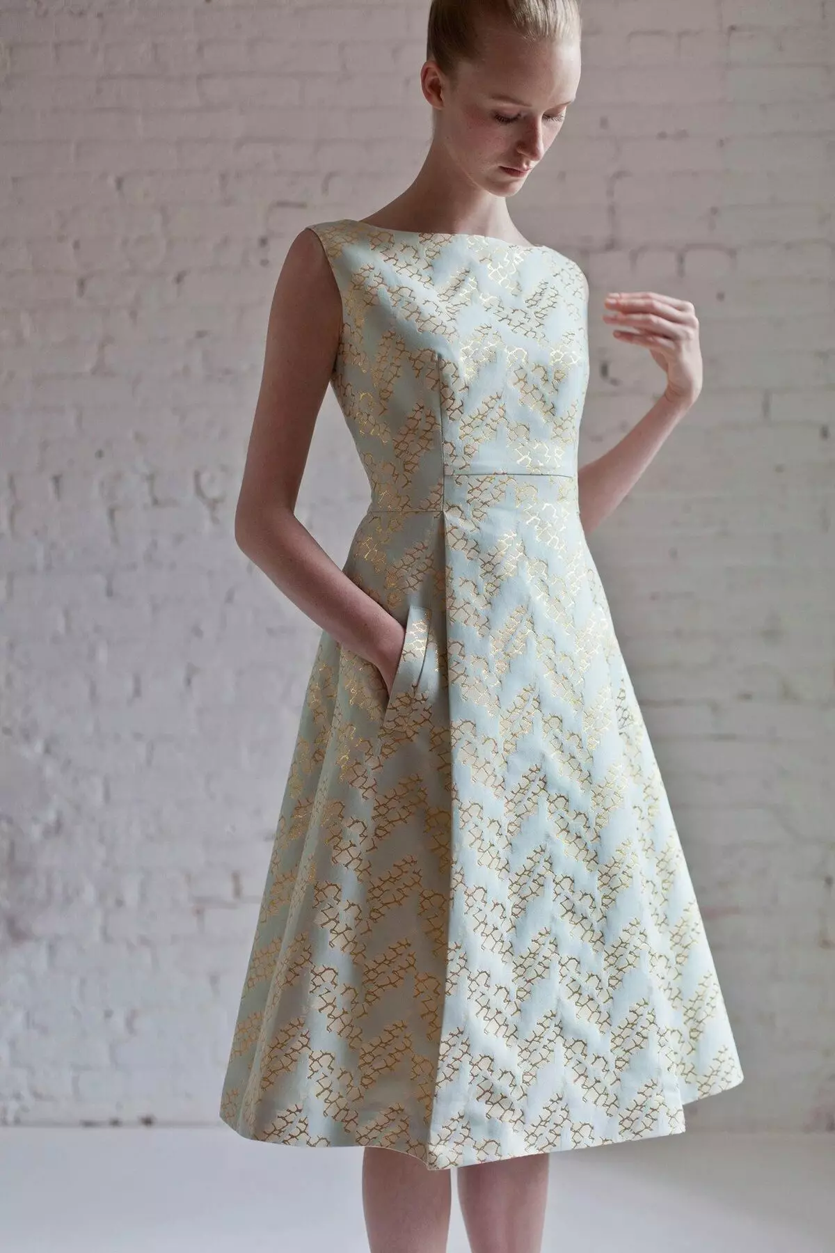 Jacquard連衣裙（88張照片）：郵票和型號的提花連衣裙，全面，夏季和舞會 1178_72