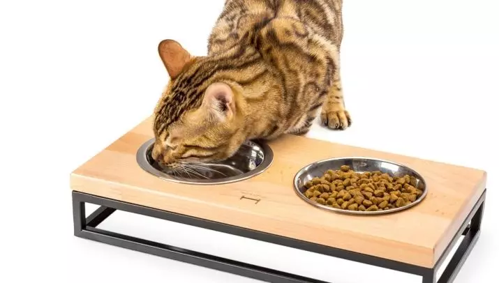 Misks за котки (28 снимки): интелигентни хранилки с килим и купи на стойка, керамични купички и други възможности за котка и котенца. Какво по-добре да изберете? 11797_12