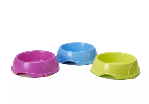 Misks for Cats (28 foto): Pengumpan cerdas dengan permadani dan mangkuk di dudukan, mangkuk keramik dan pilihan lain untuk kucing dan anak kucing. Apa yang lebih baik untuk dipilih? 11797_14
