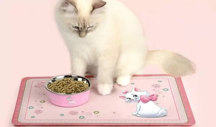 Misks for Cats (28 foto): alimentatori intelligenti con tappeto e ciotole su un supporto, ciotole in ceramica e altre opzioni per un gatto e gattini. Cosa è meglio scegliere? 11797_25