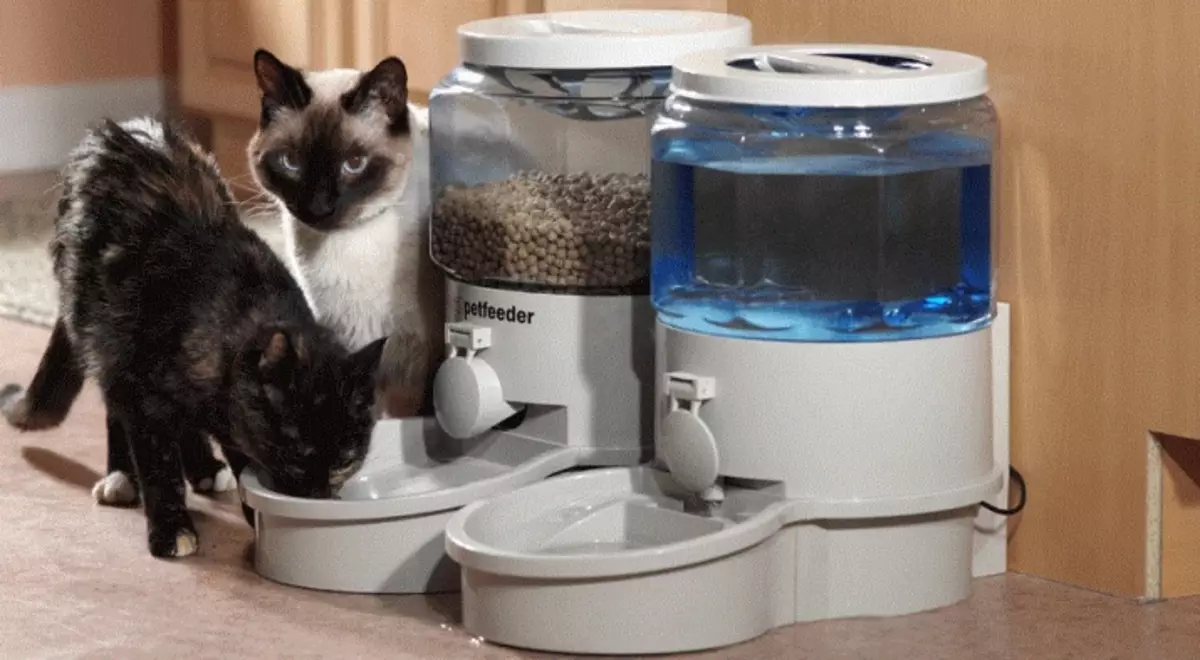 Misks for Cats (28 صورة): مغذيات ذكية مع البساط والأوعية على موقف وأوعية سيراميك وغيرها من الخيارات للقطة والقطط. ما أفضل للاختيار؟ 11797_5