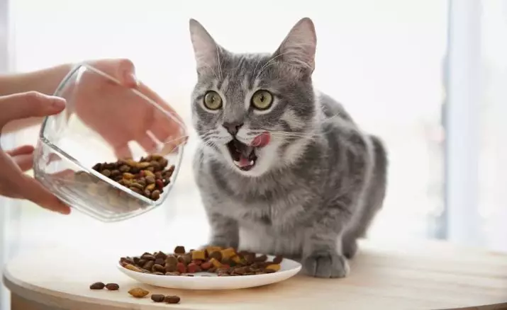 Maistas katėms (57 nuotraukos): kaip išsirinkti gerą kačių maistą? Sąrašas rūšių ir gamintojų. Veterinarijos gydytojai 11806_53