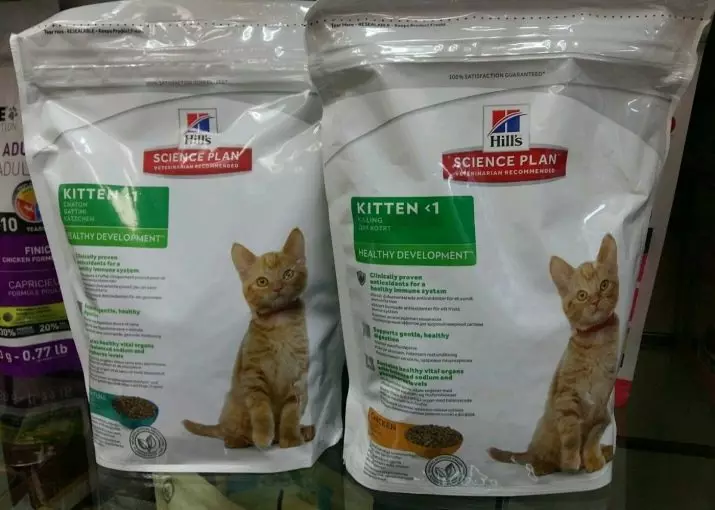 मैं एक सूखी बिल्ली का बच्चा कब दे सकता हूं? सूखे भोजन पर एक जानवर का सही अनुवाद कैसे करें? शुष्क खाद्य पदार्थों के साथ सुखाने के लिए उम्र 11814_9
