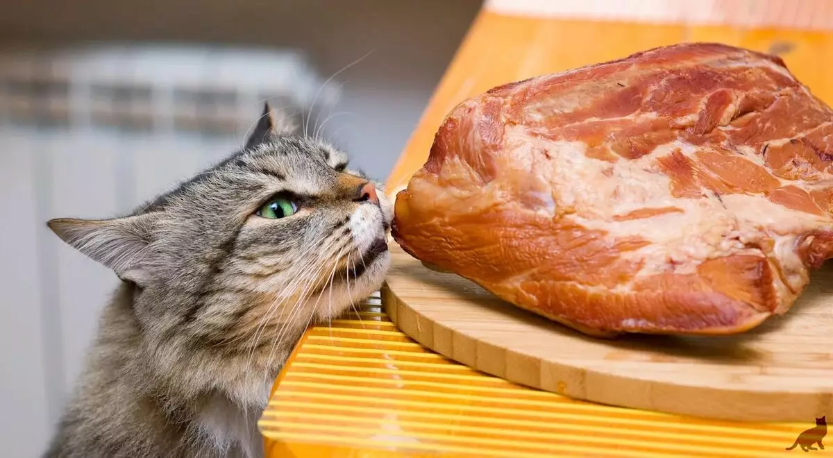 Natuurlike voeding vir katte: hoe om katte by die huis te voed? Voedingsreëls met natuurlike voer. Katvoedsel Resepte 11823_11