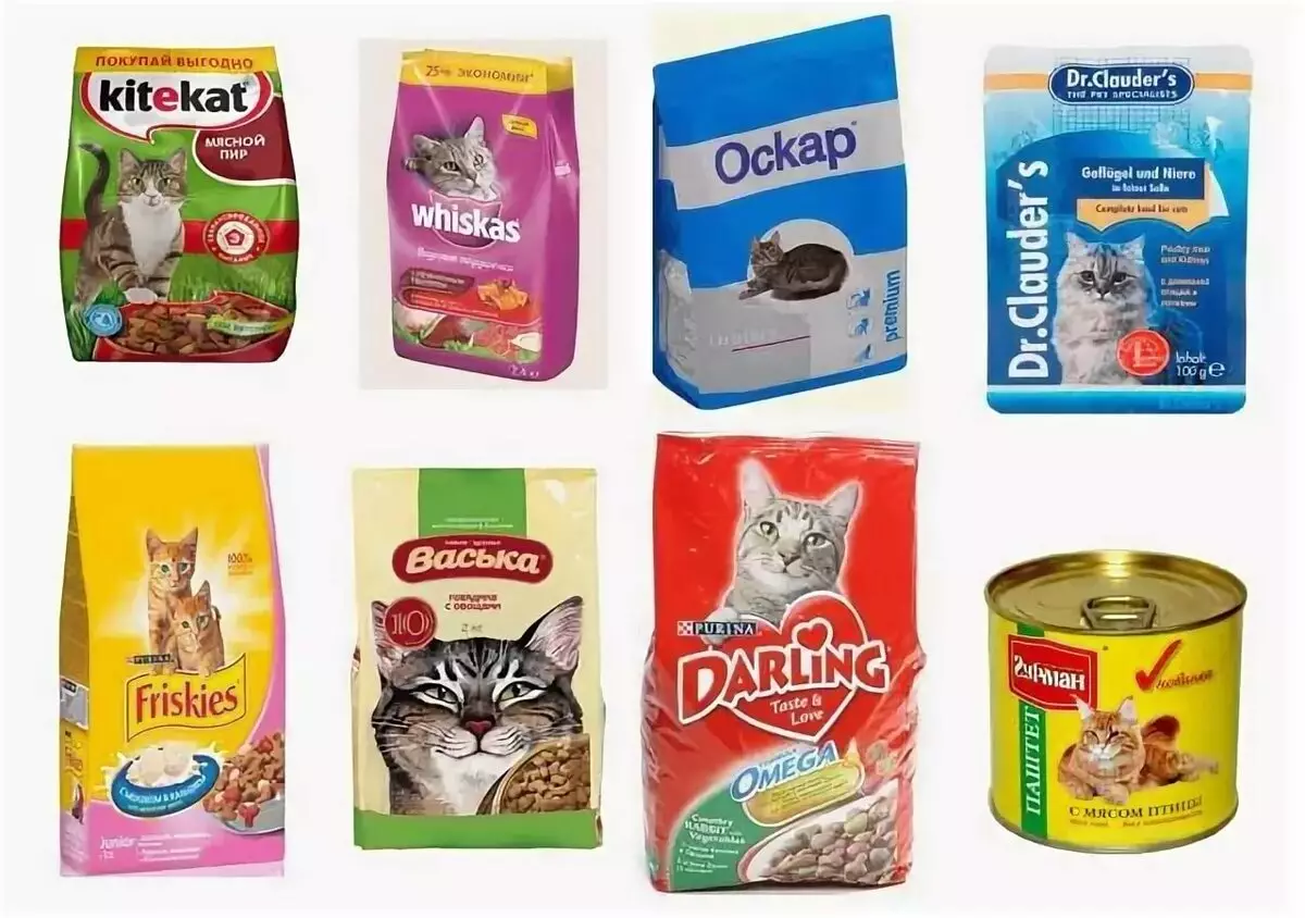 고양이를위한 자연 영양 : 집에서 고양이를 먹는 방법? 자연 피드와 함께 규칙을 먹이십시오. 고양이 음식 요리법 11823_4