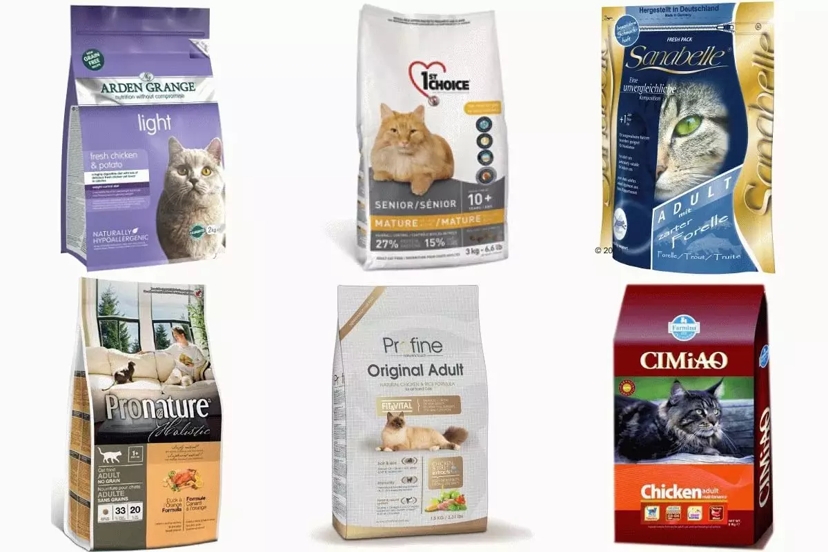 Prirodna ishrana za mačke: Kako hraniti mačke kod kuće? Pravila hranjenja sa prirodnim hranom. Recepti za hranu za mačke 11823_5