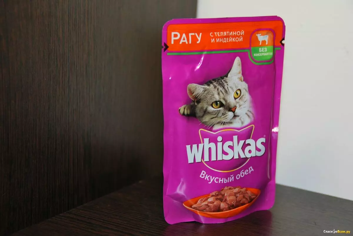 Dahareun kaléng kanggo ucing: Rakan Feed dina Kittens, kualitas pangsaéna dilestarikan pai premium 11825_5