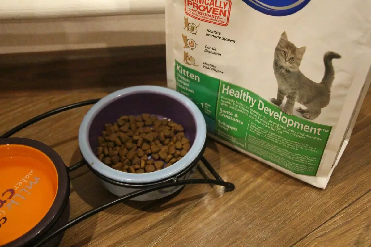 بلی کے بچے کے لئے خشک خوراک: بہترین کھانے کی فیڈ کی درجہ بندی. کیا مجھے اسے سوئنگ کرنے کی ضرورت ہے؟ جانوروں کی جائزہ 11828_15